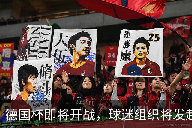 德国杯即将开战，球迷组织将发起抗议VAR行动