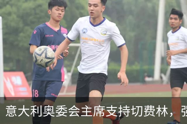 意大利奥委会主席支持切费林，强调会在职权内维护足协独立性